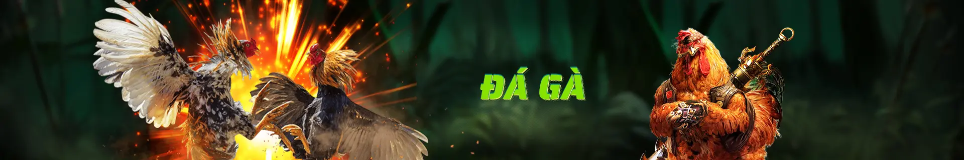 baner đá gà