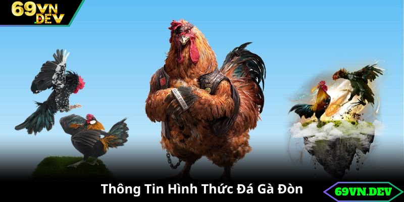 Thông tin hình thức đá gà đòn nổi tiếng tại 69VN